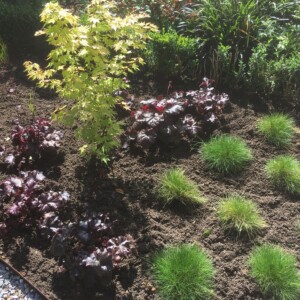 Aanleg voortuin Okkenbroek Aanleg voortuin Okkenbroek